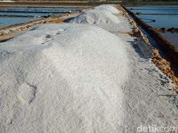 Mengapa RI Masih Rajin Impor Garam?