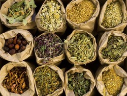 Covid-19, Bioinformatika, dan Herbal Indonesia