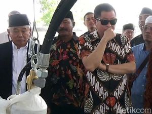 Pohon Sengon Jadi Biang Keladi Listrik Padam? Ini Respons Jonan