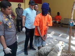 Harga Hewan Kurban Mahal Jelang Idul Adha, Remaja Ini Curi Kambing untuk Dijual