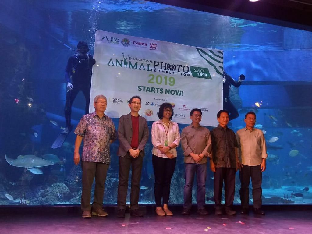 Taman Safari Indonesia Ajak Peduli Satwa Lewat Kontes Foto Taman Safari Indonesia Ajak Peduli Satwa Lewat Kontes Foto