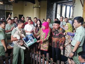 Gubernur Khofifah Beri Nama 3 Bayi Harimau Benggala Putih Taman Safari Prigen