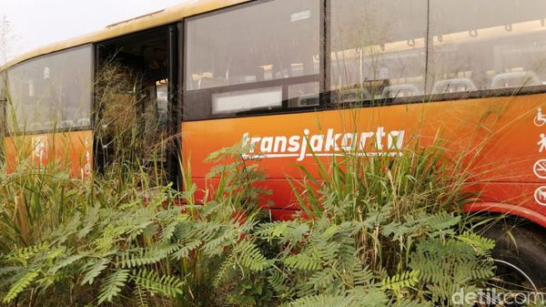 Potret Kuburan Bus Bertuliskan TransJ di Dramaga Bogor