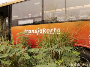 Potret Kuburan Bus Bertuliskan TransJ di Dramaga Bogor Potret Kuburan Bus Bertuliskan TransJ di Dramaga Bogor
