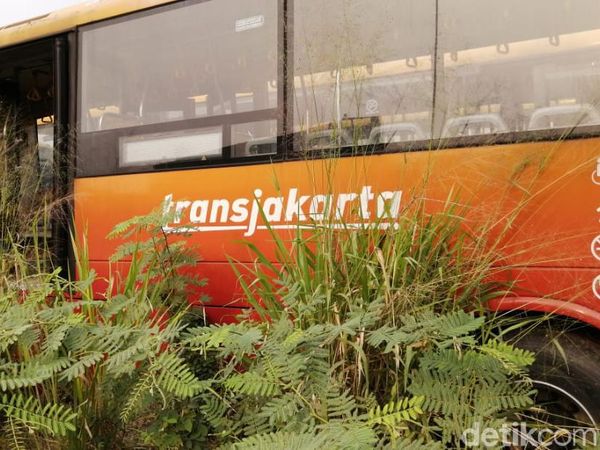 Potret Kuburan Bus Bertuliskan TransJ di Dramaga Bogor