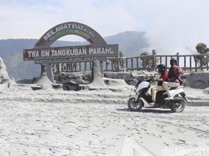 TWA Tangkuban Perahu Ditutup, Pengelola: Kita Ikuti Rekomendasi PVMBG