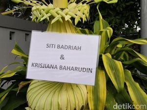 Sederet Artis Kirim Karangan Bunga di Pernikahan Siti Badriah Sederet Artis Kirim Karangan Bunga di Pernikahan Siti Badriah