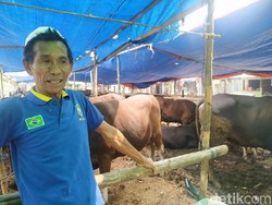 Pedagang Sapi Kurban di Mampang Setuju soal Larangan Berjualan di Trotoar
