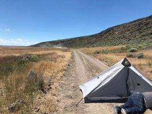 Hilang 4 Hari, Kakek 73 Tahun dan Anjingnya Ditemukan di Gurun Oregon