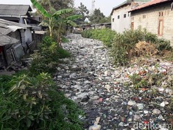 Dinas Lingkungan Hidup Tunggu Surat Kecamatan untuk Bersihkan Kali Bahagia