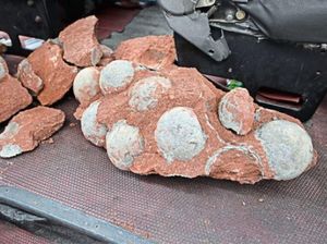 Bocah China Temukan Fosil Telur Dinosaurus Berusia 66 Juta Tahun
