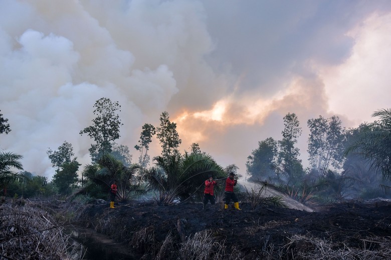 Anggota Komisi IV DPR Beri Catatan ke Pemerintah soal Penanganan Karhutla