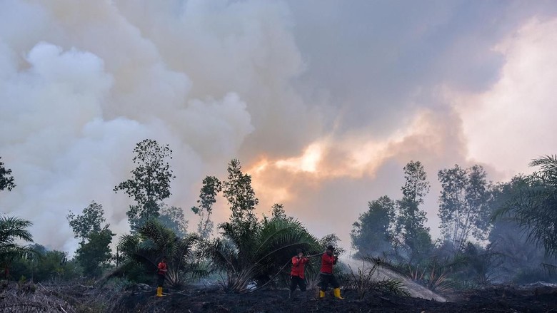 Jokowi Minta Aparat Tak Bisa Atasi Karhutla Dicopot, Ini Kata Polri