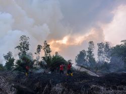 Pemprov Riau Akan Tetapkan Siaga Darurat Karhutla