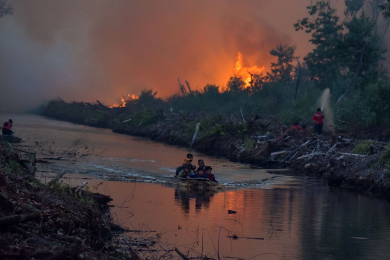 BNPB soal Kebakaran Hutan Sulit Padam: Gambut Kita Sangat Dalam