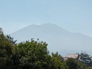 Hutan di Gunung Arjuno Terbakar, Masih Ada 8 Pendaki yang Belum Turun