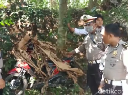 5 Motor Bodong yang Disembunyikan di Kebun Sengon Terendus Polisi