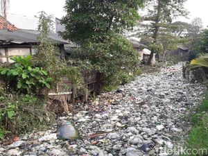 Kemenko Kemaritiman Tinjau Kali Bahagia Bekasi yang Penuh Sampah Kemenko Kemaritiman Tinjau Kali Bahagia Bekasi yang Penuh Sampah