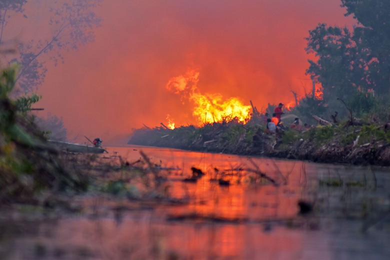 Hari Ke-10 Pemadaman Kebakaran Lahan Gambut di Riau
