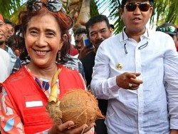 Cekatan! Begini Aksi Menteri Susi Pudjiastuti Saat Kupas Kelapa