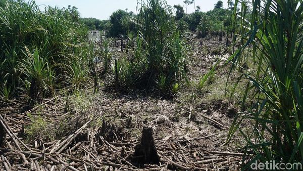 Foto: Sungai Purba Zaman Kenozoikum di Belitung
