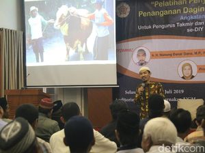 Jangan Sampai Hewan Kurban Stres, Bisa Bikin Daging Kurang Enak
