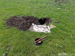 Warga di Gunungkidul Gali Telaga yang Mengering Demi untuk Minum Ternak