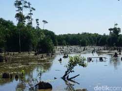 Jejak Geosite Sungai Purba di Negeri Laskar Pelangi