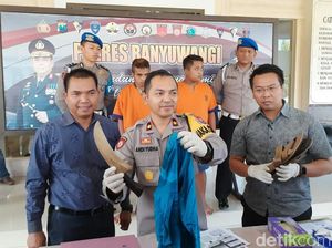 Pakai Mobil Rental, Pencuri Kambing di Banyuwangi Ditangkap