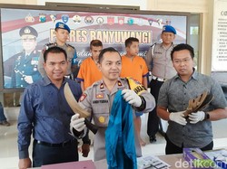 Pakai Mobil Rental, Pencuri Kambing di Banyuwangi Ditangkap