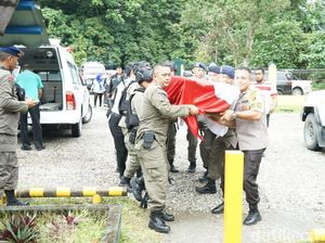 Anggota Brimob Tewas Digigit Ular Death Adder Saat Patroli di Mimika Papua
