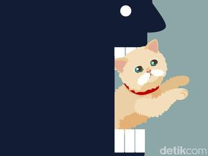 Ancaman Hukuman Rendah, Abah Grandong Pemakan Kucing Tak Bisa Ditahan Ancaman Hukuman Rendah, Abah Grandong Pemakan Kucing Tak Bisa Ditahan