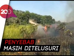 Savana Taman Nasional Rawa Aopa Watumohai Sultra Terbakar