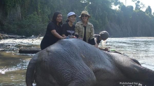 Foto Tangkahan, Tempat Nicholas Saputra Mandikan Gajah