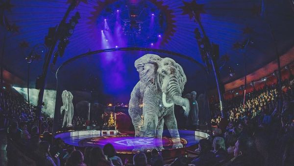 Indahnya Sirkus yang Tampilkan Hewan Berbentuk Hologram, Stop Siksa Binatang