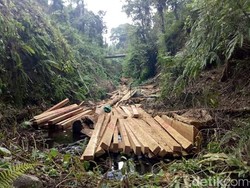 Terlibat Illegal Logging di Sulut, Oknum Polisi Hutan Jadi DPO