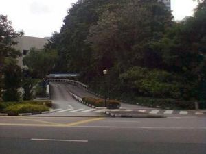 Bisa, Wisata Sehari di Singapura