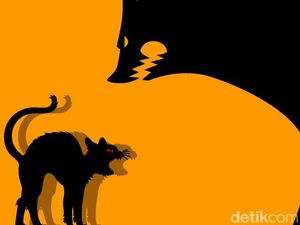 Polisi Masih Buru Abah Grandong Pemakan Kucing Hidup-hidup Polisi Masih Buru Abah Grandong Pemakan Kucing Hidup-hidup
