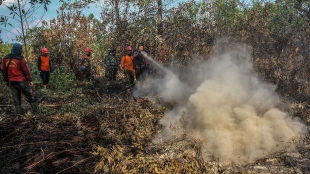 Ilustrasi kebakaran hutan dan lahan.