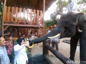 Ini Tanggapan Risma yang akan Diboyong NasDem untuk Tangani Sampah DKI