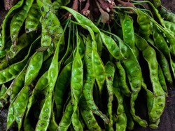 10 Manfaat Petai, dari Atasi Depresi hingga Sembelit