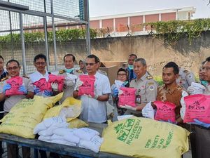 Kementan Musnahkan 3,1 Ton Benih Jagung India Berbakteri