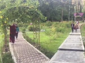 Kebun Raya Kendari, Wisata Sambil Edukasi Flora dan Fauna Sulawesi Kebun Raya Kendari, Wisata Sambil Edukasi Flora dan Fauna Sulawesi