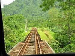 Menikmati Banyuwangi Naik Lori, Seru!