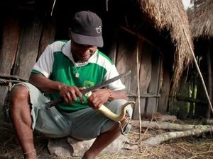 Koteka dari Papua, Tapi Tak Semua Orang Papua Pakai Koteka