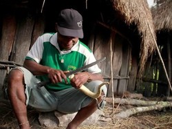 Koteka dari Papua, Tapi Tak Semua Orang Papua Pakai Koteka
