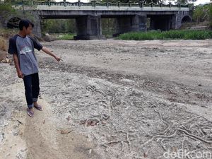 Melihat Fosil Jejak Cacing Laut Purba di Gunungkidul