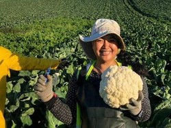 Perempuan Yogyakarta Ini Tak Gentar Jadi Petani Musim Dingin di Australia