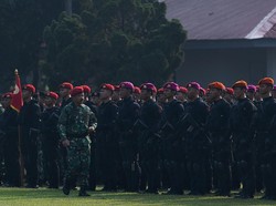 Komisi I DPR Minta TNI Tindak Tegas Separatis di Papua