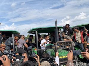 Tinjau Kebun Organik di Toba, Jokowi Makan Jeruk dan Naik Traktor